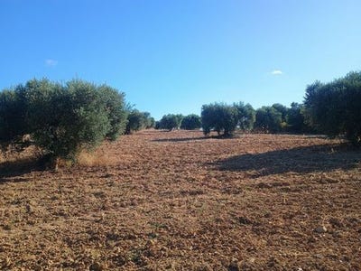 /international/es/lugar-penuela-niebla-andalusia-310109049076/