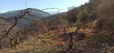 /international/es/guejar-sierra-andalusia-310101355284/