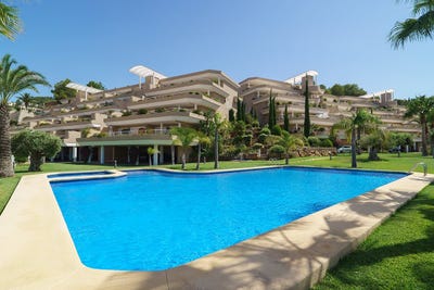 /international/es/pedreguer-valencian-community-310110036013/