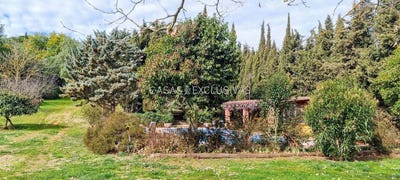 /international/es/cruilles-catalonia-310094420650/