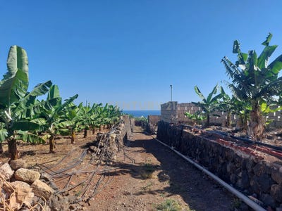 /international/es/san-cristobal-de-la-laguna-canary-islands-310109124611/