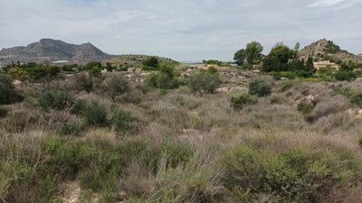 /international/es/agost-valencian-community-310101355604/