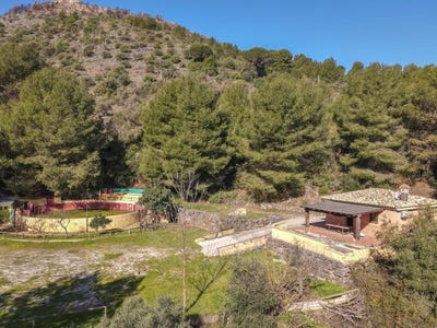 /international/es/monda-andalusia-310106290267/
