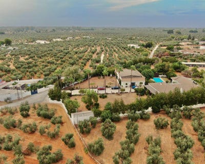 /international/es/utrera-andalusia-310098526994/?lang=zh-cn