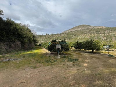 /international/es/beniganim-valencian-community-310107522179/