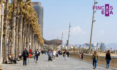 /international/es/carrer-de-balboa-14-ciutat-vella-08003-barcelona-spain-barcelona-catalonia-310108988744/