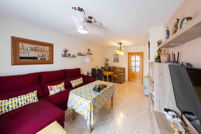 /international/es/alameda-andalusia-310107443272/