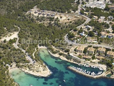 /international/es/palma-region-of-murcia-310101419583/