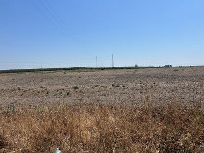 /international/es/utrera-andalusia-310101322111/