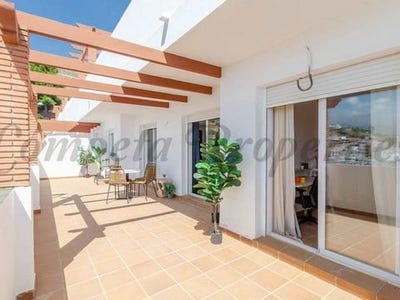 /international/es/competa-andalusia-310100742622/
