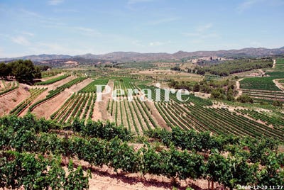 /international/es/falset-catalonia-120088125211/