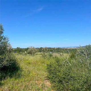 /international/es/manacor-balearic-islands-310108044205/