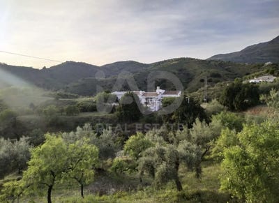 /international/es/ds-diseminado-sedella-andalusia-310109077409/