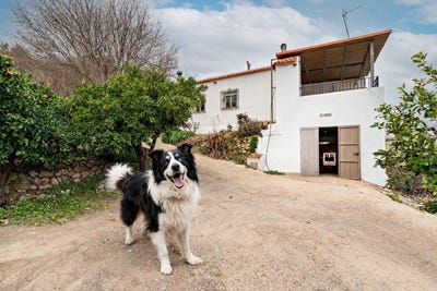 /international/es/canjayar-andalusia-310107701748/