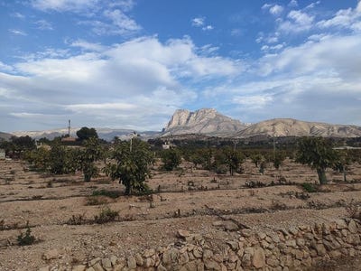 /international/es/villajoyosa-valencian-community-310101110545/?lang=zh-tw