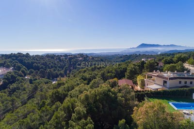 /international/es/altea-valencian-community-310100661917/