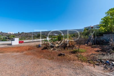 /international/es/guia-de-isora-canary-islands-310101204587/