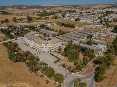 /international/es/campillos-andalusia-310103536871/