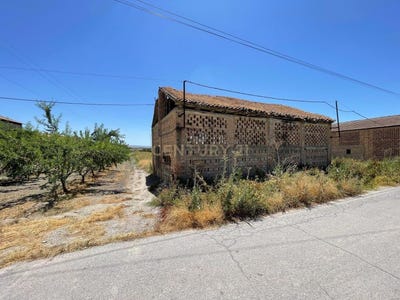/international/es/fuente-vaqueros-andalusia-310101352406/