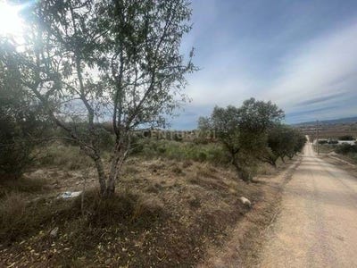 /international/es/vilafranca-del-penedes-catalonia-310108419037/