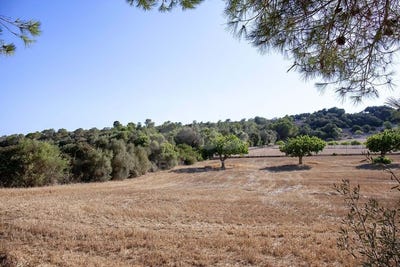 /international/es/carrer-de-concha-espina-palma-balearic-islands-310108155075/