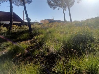 /international/es/olivella-catalonia-310103993987/