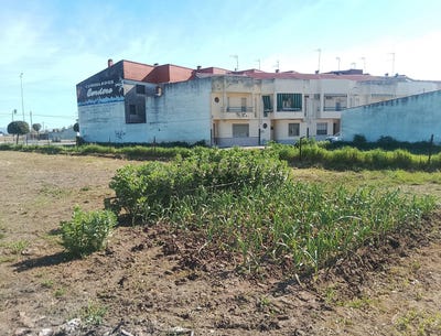/international/es/moraleja-extremadura-310098794832/
