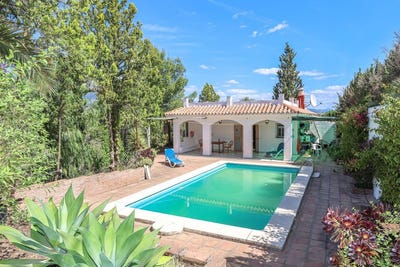 /international/es/coin-andalusia-310108129432/