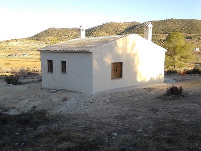 /international/es/encebras-valencian-community-310108900168/