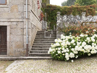/international/es/mos-galicia-120083358568/