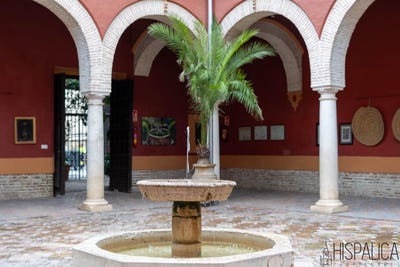 /international/es/ecija-andalusia-310106290008/