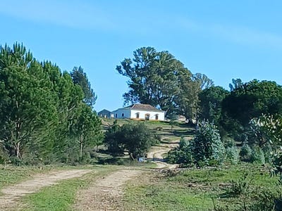 /international/es/moguer-andalusia-310100793185/