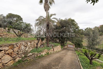 /international/es/alzira-valencian-community-310100642047/?lang=zh-tw