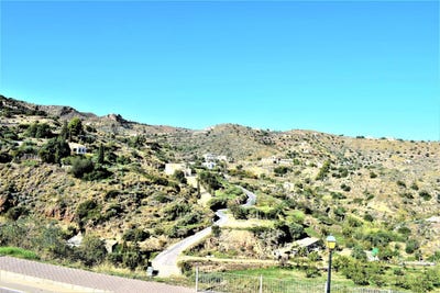 /international/es/bedar-andalusia-120094692146/