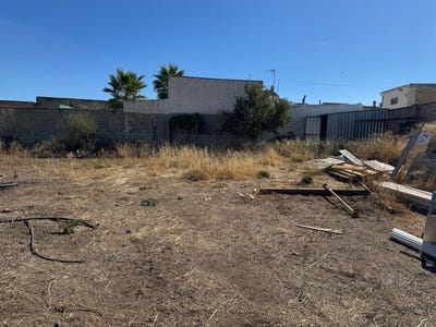 /international/es/alameda-andalusia-310106413896/