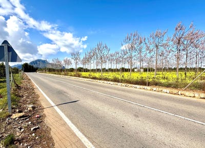 /international/es/poligono-24-parcela-13-esta-denia-valencian-community-310106410186/