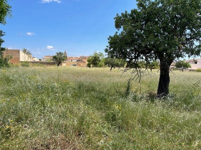 /international/es/127-lugar-poligon-1-consell-balearic-islands-310101734654/