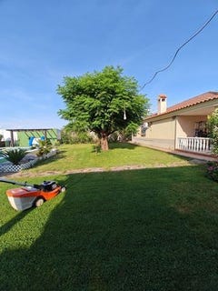 /international/es/diseminado-pinuelas-villanueva-de-la-serena-extremadura-310108811872/