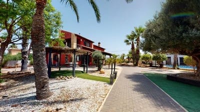 /international/es/catral-valencian-community-120094740245/