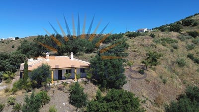 /international/es/canillas-de-aceituno-andalusia-310108466103/