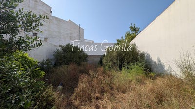 /international/es/alaior-balearic-islands-310100238429/