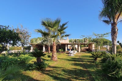 /international/es/valencia-capital-valencian-community-310100643263/