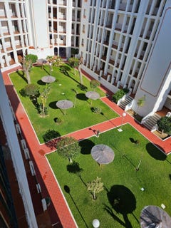 /international/es/almonte-andalusia-310104980257/