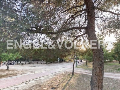 /international/es/lliria-valencian-community-310100638906/?lang=en