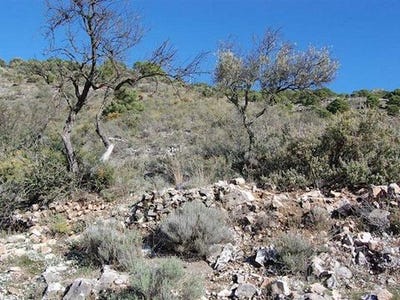 /international/es/competa-andalusia-120090071432/