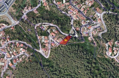 /international/es/cervello-catalonia-310108864519/