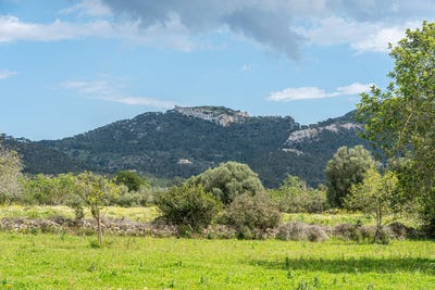 /international/es/felanitx-balearic-islands-310103453929/