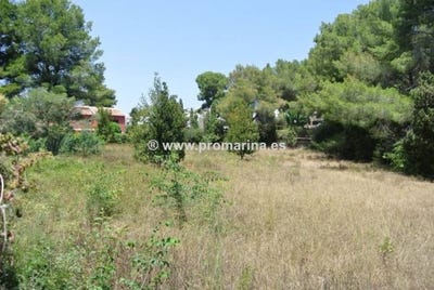 /international/es/javea-xabia-valencian-community-310101226339/