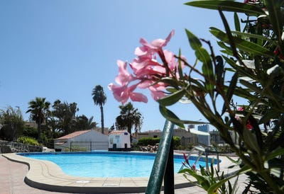 /international/es/arguineguin-casco-mogan-canary-islands-310108481750/