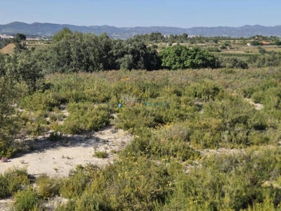 /international/es/el-palomar-valencian-community-310109170560/